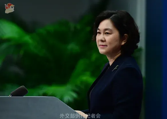 華春瑩兼任陸外交新職　與盧沙野都從事對歐工作