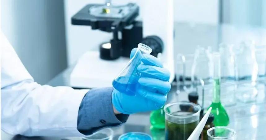 器官移植來源有解？科學家在豬胚胎成功培育出人腎組織