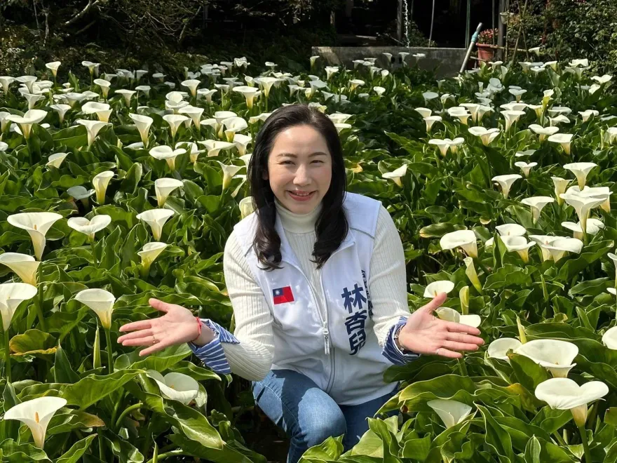 美女議員林杏兒當選無效之訴過關！士檢重懲「逾期未上訴」書記官：調職、記過