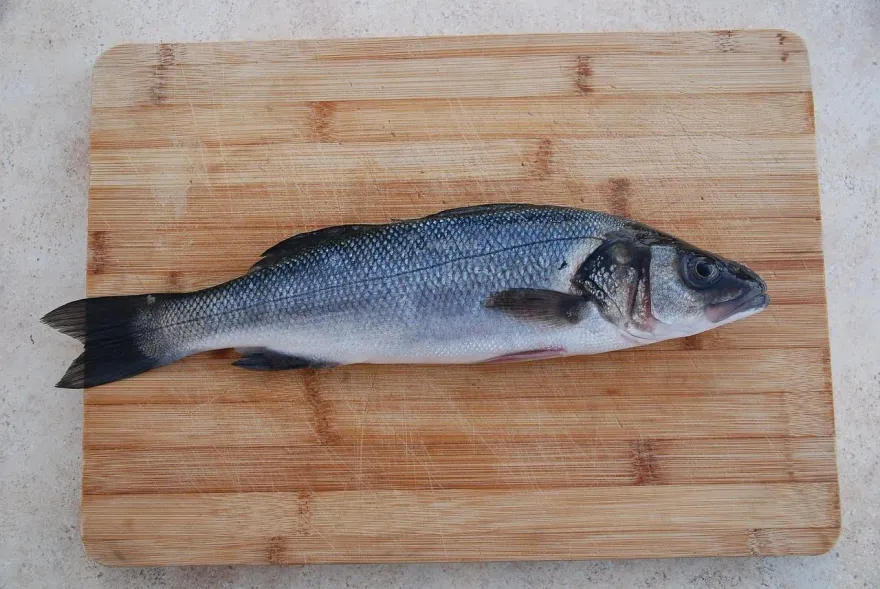 「無毒教母」譚敦慈分享買海鮮3原則！美國研究：鮭魚去皮煎　重金屬少40%