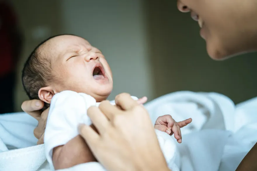 「流行性腦脊髓膜炎」初期像感冒！4歲以下嬰幼兒為好發族群