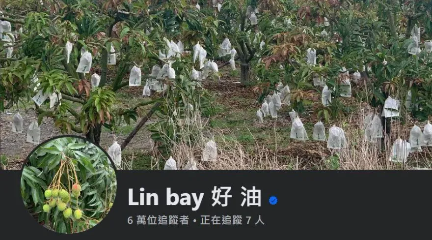 側翼指控一籃水果都賣不出　Linbay好油：抹黑的垃圾敢不敢對賭1000萬？