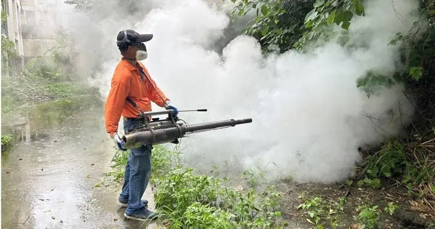 登革熱燒不停！中秋前沒壓下恐更糟　忽略「這動作」百隻病蚊一次誕生