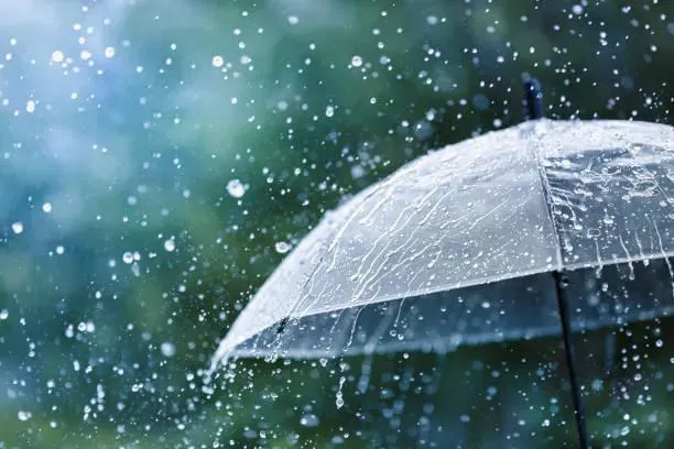 快訊/寒流猛襲「3警報齊發」！4縣市炸雨一路到入夜　全台急凍警戒