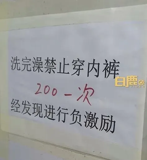 影/洗澡後不能穿內褲！豬場飼養員違規罰880元　養殖場：非洲豬瘟嚴重「備紙內褲」
