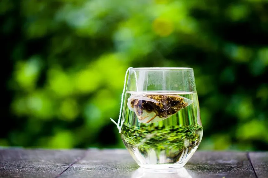 紅茶、綠茶哪個更好？醫提出「5分析」：適量飲用都能為身體帶來益處