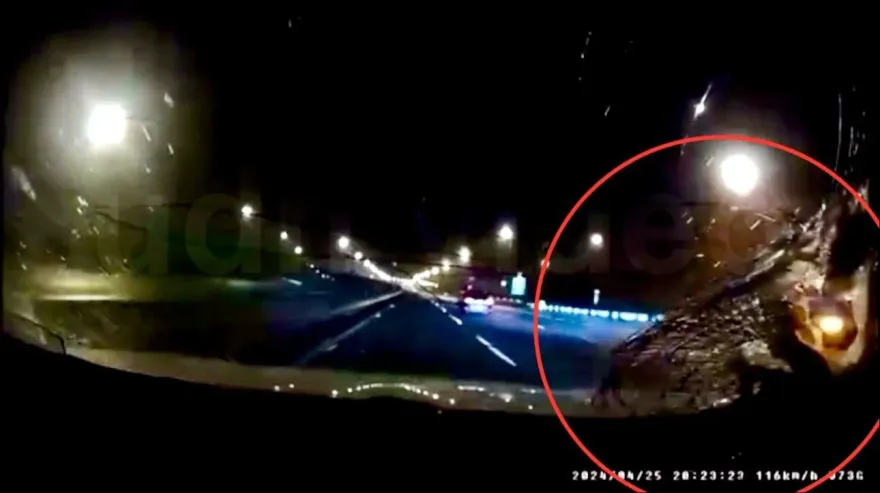 影/國道驚魂！天降超大鐵片砸破前擋玻璃　一家3口妻兒後座逃過一劫