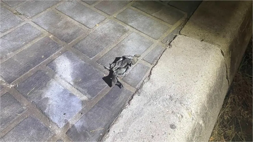 北屯夜炸街頭嫌犯抓到了　2高中屁孩「爆竹放塑膠罐」稱：周六晚上無聊