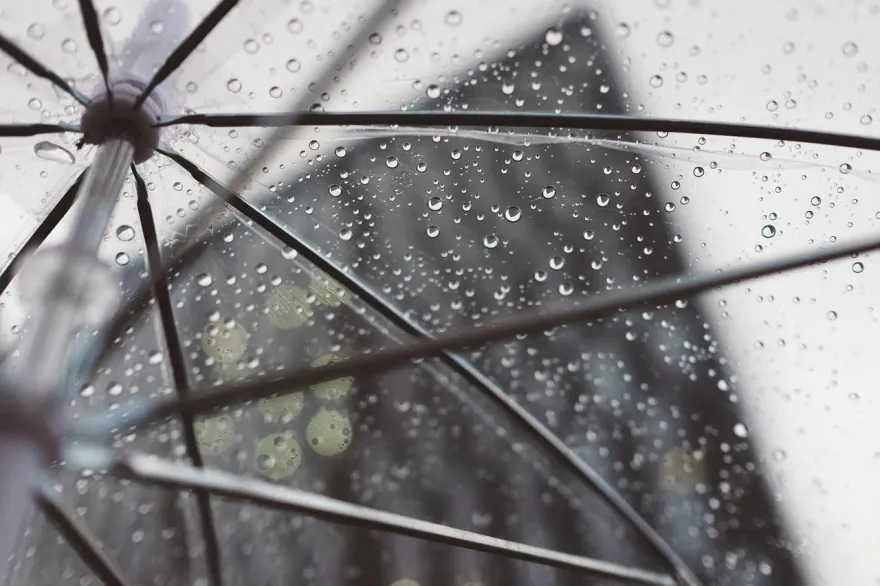 梅雨季來臨「濕氣超重」！體內除濕機「10招」讓你體內濕氣掰掰
