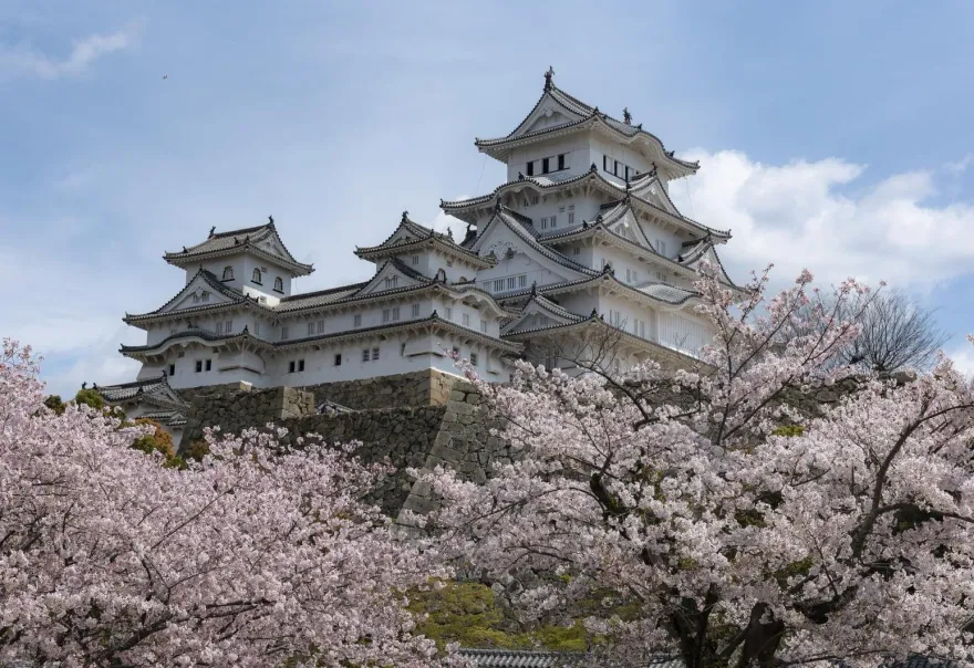 快衝日本！世界遺產姬路城　擬針對外國遊客「門票漲4倍」一張近千元