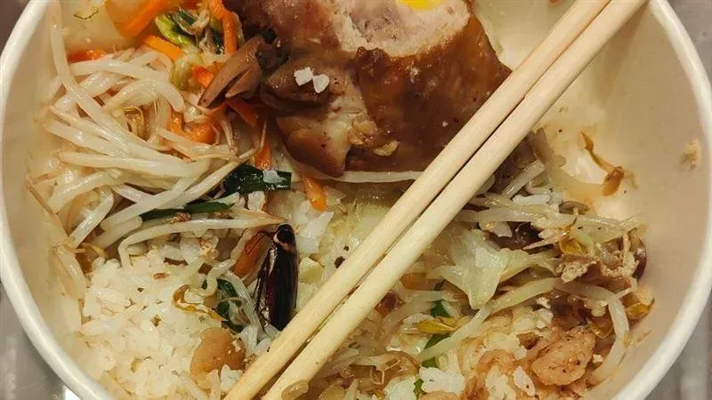 噁！北榮「紅豆食府」便當內驚見「巨蟑」　北市衛生局抓3缺失