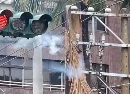 影/「不敵強風」員林高壓電線爆炸！紅綠燈瞬間滅　近4千戶停電摸黑