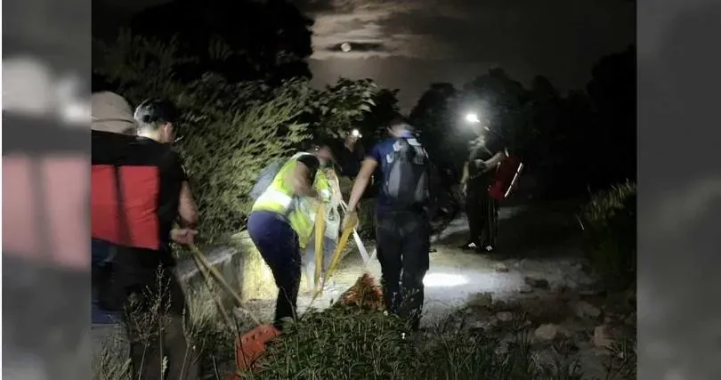 快訊/屏東登山團爆憾事！領隊遭虎頭蜂圍攻身上30處傷　送醫急救宣告不治
