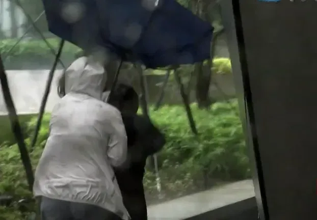 雙颱接力？摩羯今起「外圍水氣擾台」　下個颱風9/6前後生成