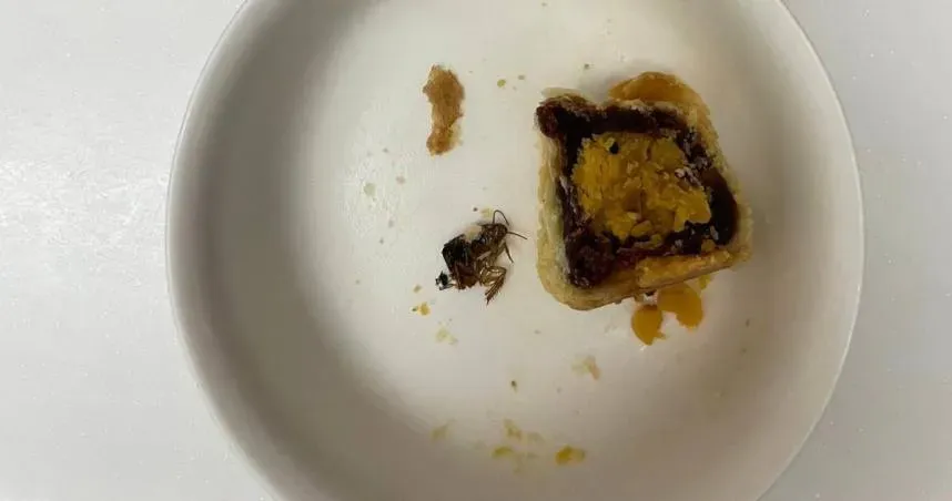 不二糕餅「蛋黃酥蟑螂」假爆料　律師揭發文者：恐觸誹謗罪