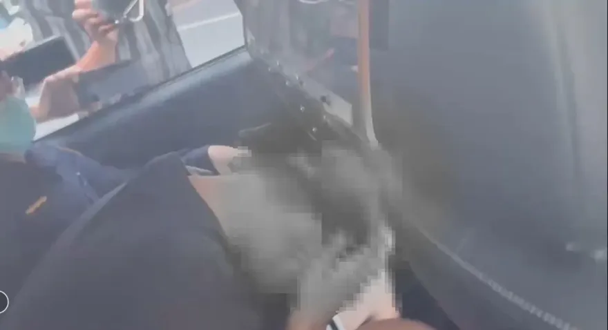 為了炫耀卻鑄成大錯！15歲少年私下個性曝　親友：一家人很善良
