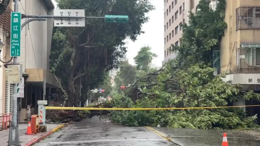 能倒的都倒了！　司機見北市「路面1情況」嘆：今天應該要放假