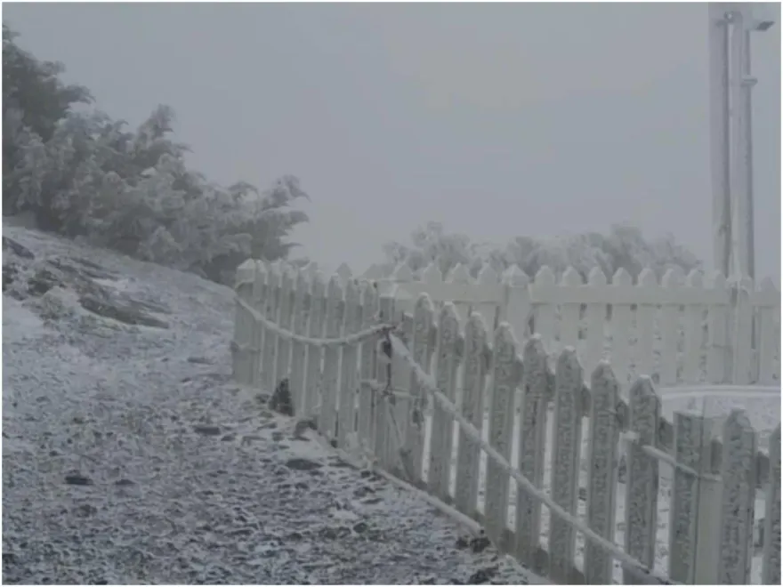 影/零下5度！玉山北峰全白了　雪花紛飛美景曝光