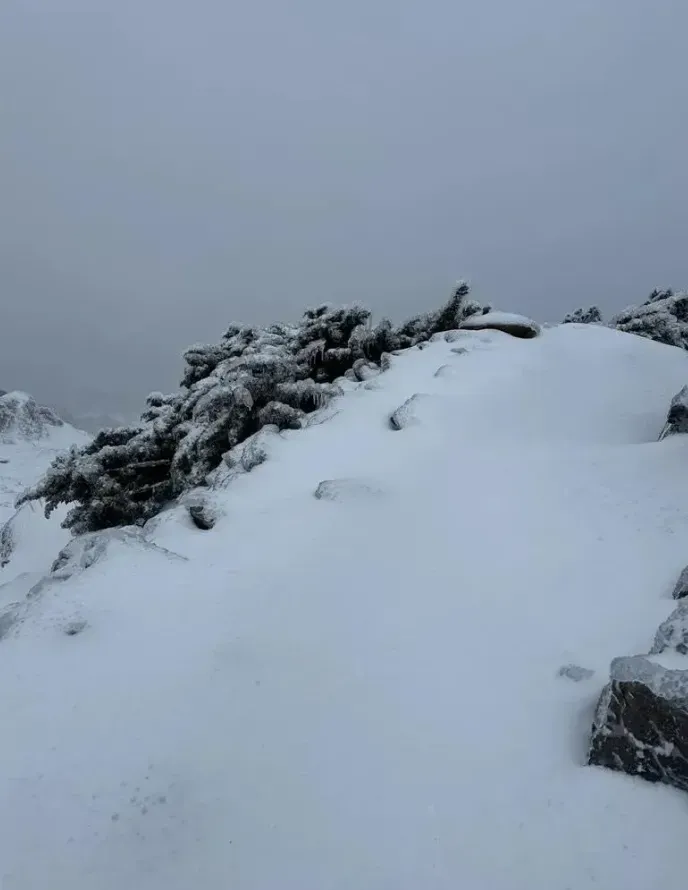 玉山雪埋驚魂！2山友墜380米山谷　官方急喊：別被好天氣騙