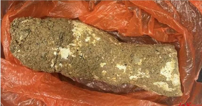 野菇湯變奪命毒藥！阿嬤誤採毒菇　祖孫4人3命危