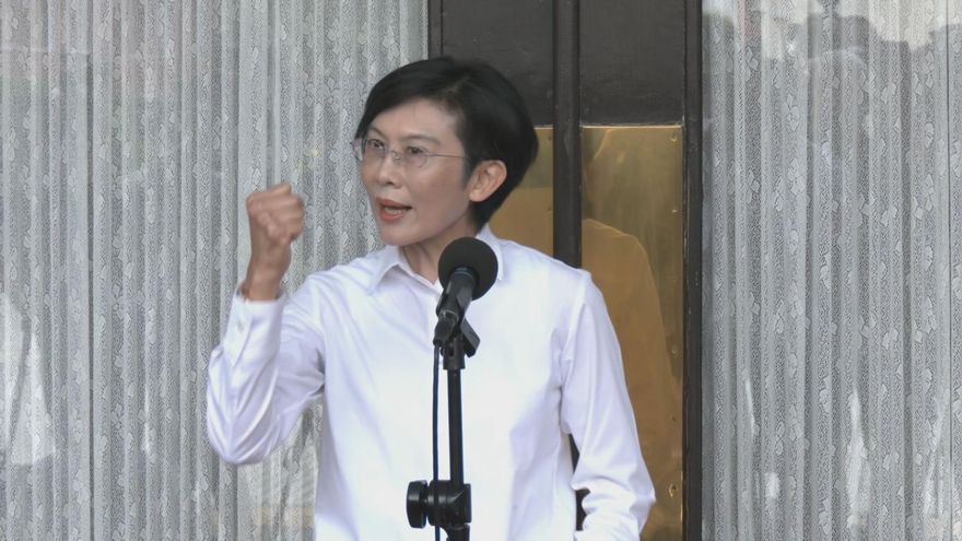 林岱樺與住持對話遭外洩　蔡正元：鮮血淋漓的人格毀滅