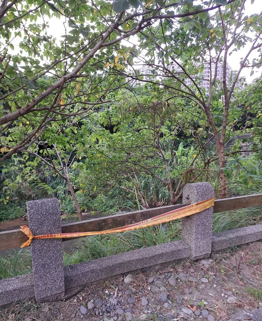 淡水「九九體育全民健行」憾事　男倚護欄休息墜谷亡