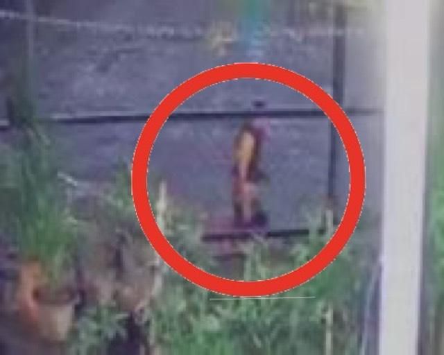 台中狂男命喪草莓園　菲籍嫌犯驚吐「被下蠱要搶佛牌驅邪」