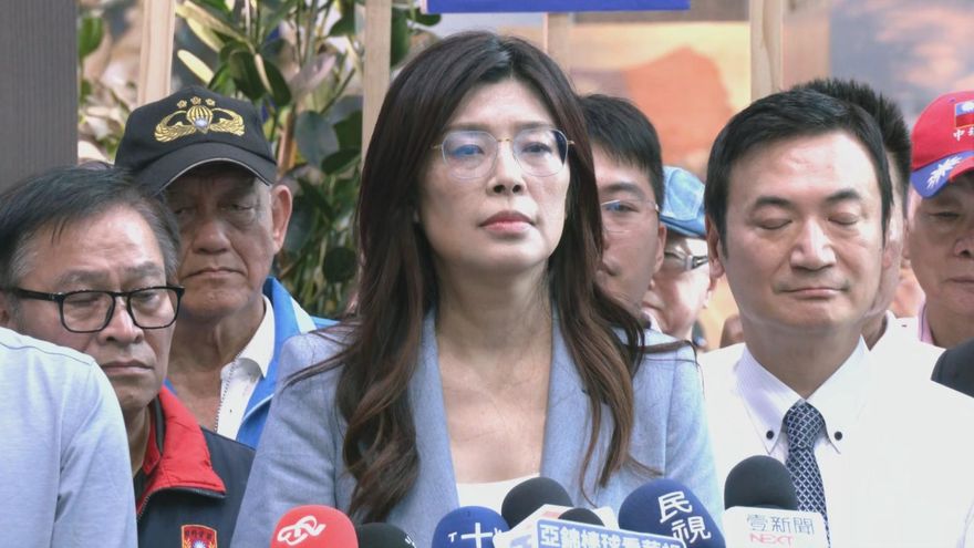 影/鄭麗文登記參選國民黨主席！揭發「假小草」對她發動攻擊
