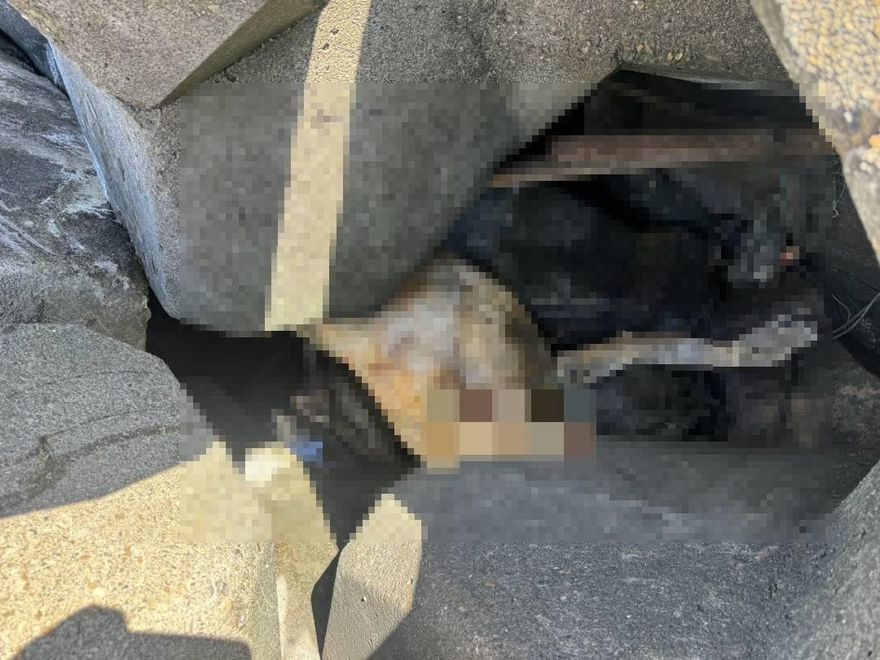 彰濱消波塊尋獲男屍　警方將透過DNA比對清查身分