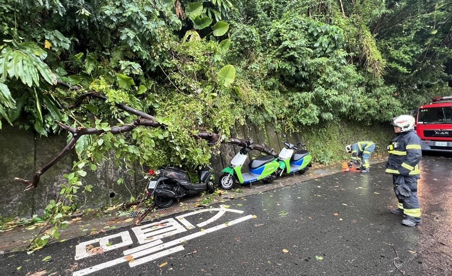 樺加沙豪雨襲北市　信義區路樹倒砸3機車