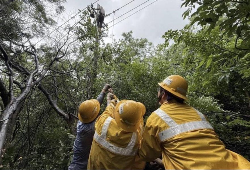 樺加沙過境屏東釀6268戶停電　台電搶修全數復電