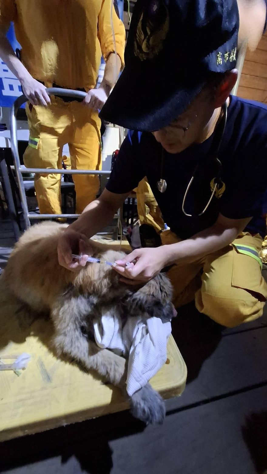 高市救援隊花蓮出任務聽「悲鳴」！成功救出身陷泥濘犬隻