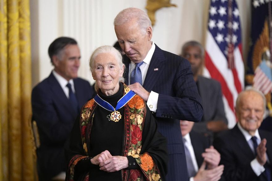 今年6月曾訪台！珍古德博士睡夢中離世　享壽91歲