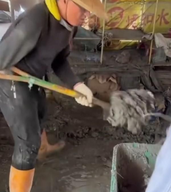 影/花蓮光復災區出現「獨臂超人」　熟練鏟土畫面感動全網