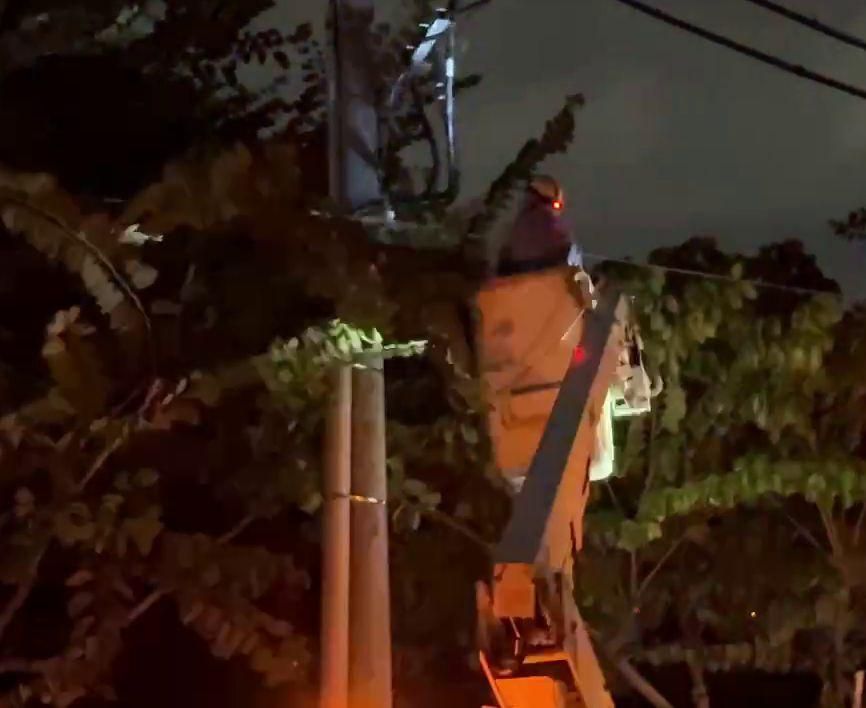 影/慘！台中南區「強風吹斷路樹壓電桿」上百戶停電
