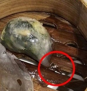 開心用餐驚見「蟑螂躺蒸籠」！店家免單補償致歉　添好運回應了