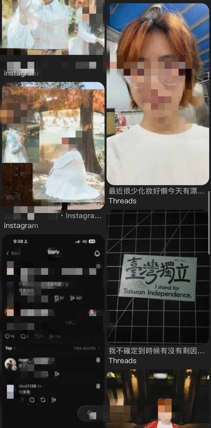 被網友指稱是戴女的社群平台的帳號,細看她的貼文也有支持台灣獨立,被網友懷疑是青鳥。(圖/翻攝畫面)